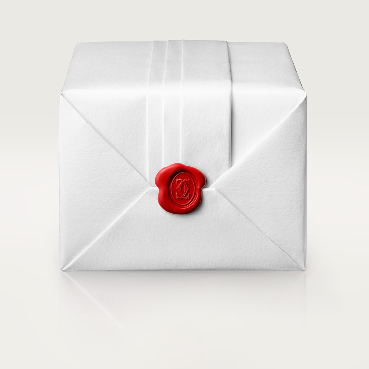 SANTOS DE CARTIER WATCH